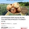 국내산 햇양파 5kg 혼합 (5,000원/무배)