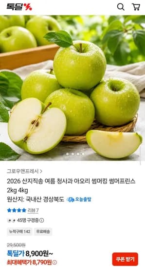 2026 산지직송 여름 청사과 소과 2kg (11-15과) (8,00원/무배)9