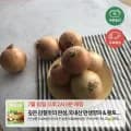 양파 3kg (1,920원/무료)