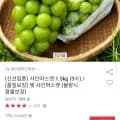 샤인머스캣 .5kg (3수) (10,970원/무료)1