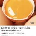 난각번호1번 유정란 무항생제 자연방목 계란 20구(7,440/네멤무배)