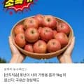 못난이 가정용 사과 5kg (9,400원 / 무료)