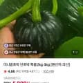 미니밤호박 4kg (8,900원/무료)