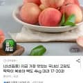 국내산 딱딱이 백도 4kg 대과 (17,590원/무료)
