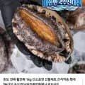 완도 활전복 5미 1kg (19,670원/네멤무배)