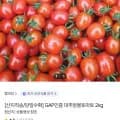 GAP인증 대추방울토마토 2kg (8,330원/무료)