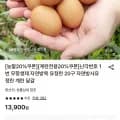 난각번호 1번 무항생제 자연방목 유정란 20구 (10,570원/무료)
