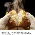 햇감자 특 1.5kg (2,440원/네멤무료)