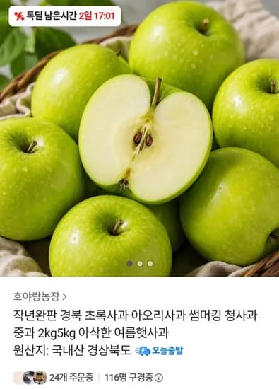 경북 초록사과 중과 2kg (7,900원 / 무배)