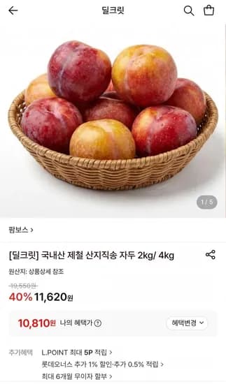 국내산 햇자두 2kg (0,810원/무료)1