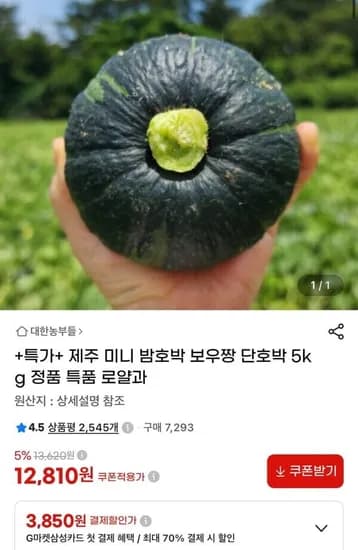 제주 미니 밤호박 보우짱 단호박 5kg (2,810원/무배)1