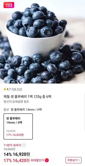 제철 생 블루베리 1팩 125g 총 6팩 (16,920원/무료)