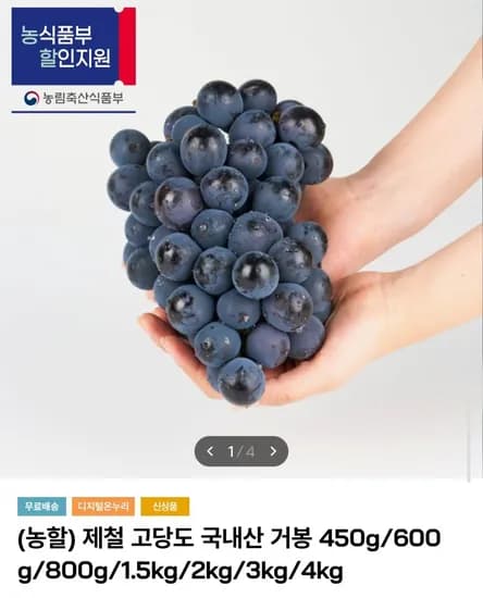 국내산 거봉 .5kg (16,450원/무배)1