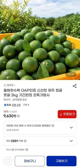 GAP인증 제주 청귤 3kg (,630원/무료)9