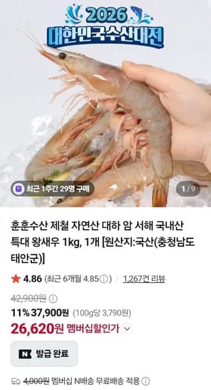 서해 급냉 자연산 암대하 1kg 15미내외 (26,620원/네멤무료)