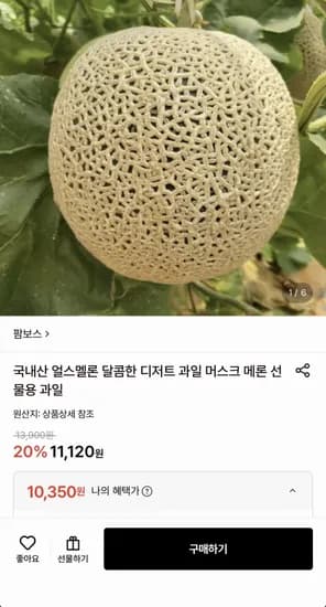 국내산 머스크 얼스 멜론 1.5kg 내외 1통 (10,350원/무료)