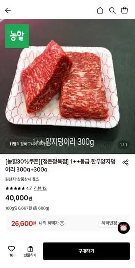 1++등급 한우양지덩어리 300g+300g (26,600원/무료)