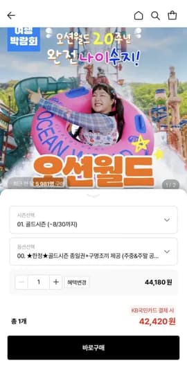 홍천 비발디파크 오션월드 종일권(42,420원/무료)