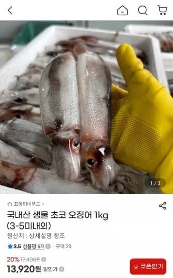 국내산 생물 초코 오징어 1kg (3-5미내외) (13,920원/무료)