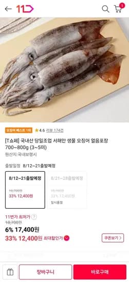 T멤버십 국내산 당일조업 서해안 생물 오징어 얼음포장 700~800g (3~5미) (1,400원/무료)2