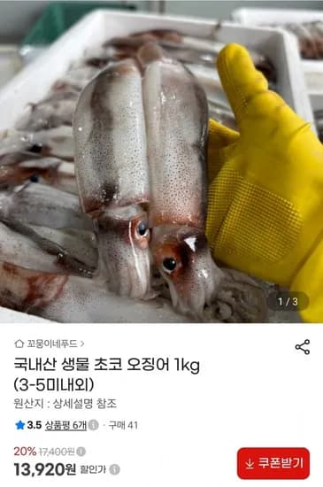 오징어 1kg (3-5미내외) (13,920원/무료)