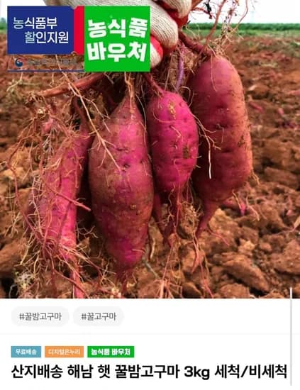 해남 꿀밤고구마 3kg 중 (8,750원/무료배송)