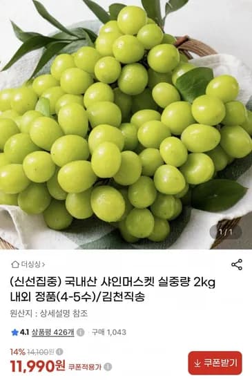 샤인머스켓 2kg 내외 4-5수 (1,990원/무료)1