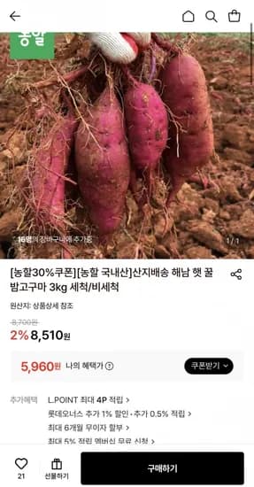 햇꿀밤고구마 3kg 비세척 한입 (5,960원/무료)