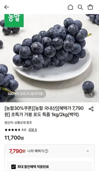 거봉 포도 특품 1kg(1-2수) (,790원/무료)7