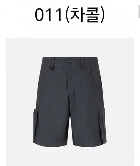 컬럼비아 남성 랜드로머 카고 쇼츠 (21,330원/2장이상무료)