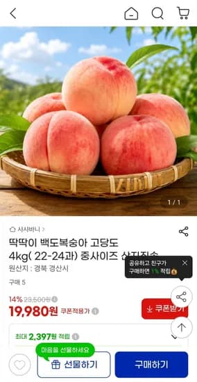 딱딱이 백도복숭아 4kg 중 (22-24과) (19,980원/무료)
