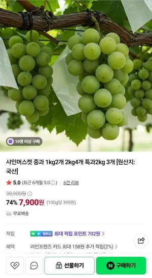 샤인머스켓 중과 1kg 2개 7,900원