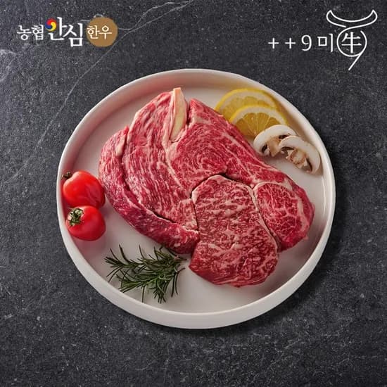 넘버9등급 투뿔 한우 등심 500g 49,830원
