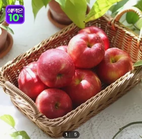 햇사과 5kg 중대과 (10-24과)