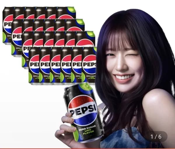 펩시제로 355ml 24캔 외 1종