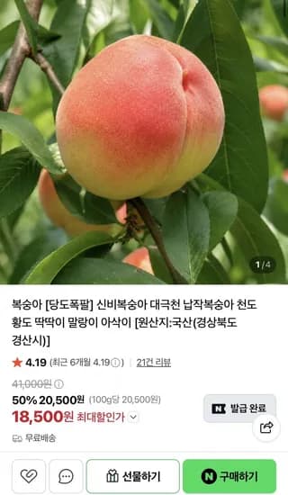 대월 딱딱이복숭아 3KG 소과 (8,500원/무료)1