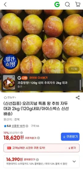특품 왕 추희 자두 대과 2kg (18,620원/무료)