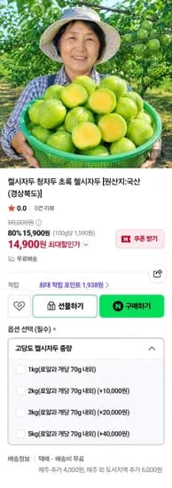 켈시자두 청자두 첼시자두 15,900원