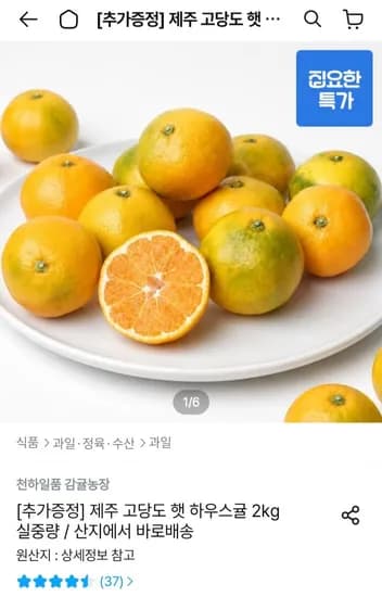 제주 하우스감귤 4kg 로얄과 (27,834원/무료)