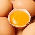 난각번호1번 무항생제 유정란 0구 6,770원