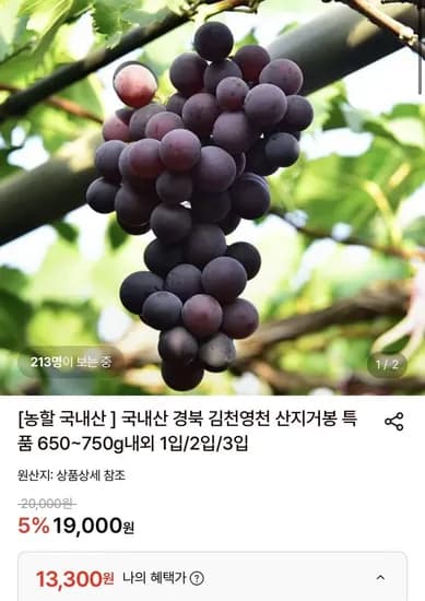 경북 특품 거봉 1수(650~750g) x 3입 (13,300원/무료)