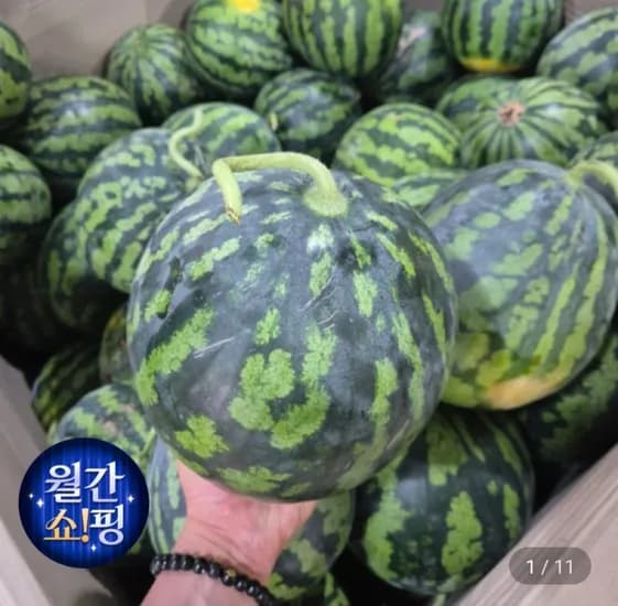 제주 수박 노지수박 ~6kg 7,980원