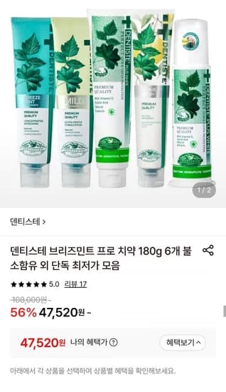 덴티스테 브리즈민트 프로 치약 180g 5개+슬림핏 칫솔