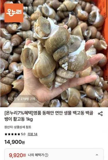 활 백고동 소소 1kg 외 다양