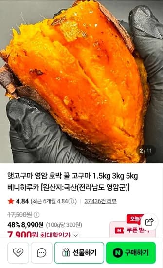 영암 햇고구마 1.5kg 특상 (4,900원/네멤무배)