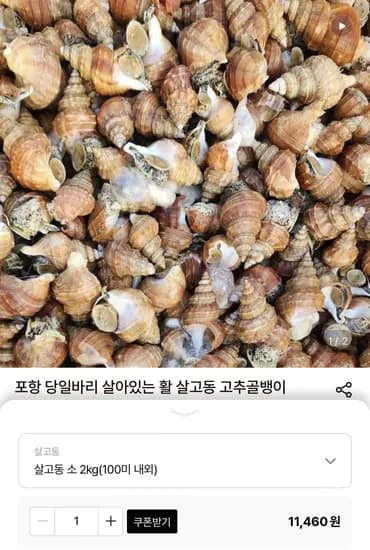 포항 당일바리 활 살고동 소 2kg(00미 내외) (10,890원/무료)1