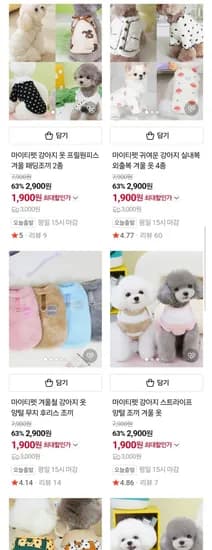 강아지옷 시즌오프 전품목 (1,900원/유배)