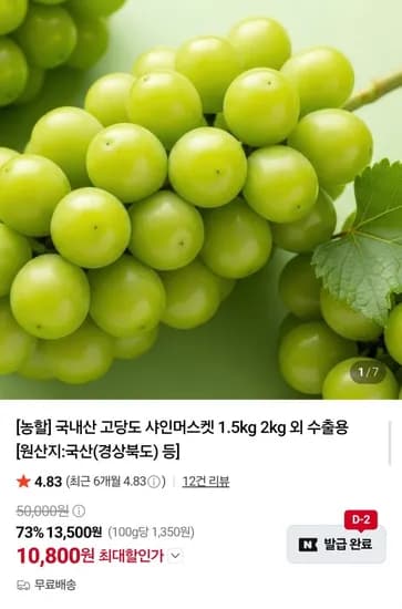 16Brix 당도선별 샤인머스켓 1.5kg (10,800원/무료)