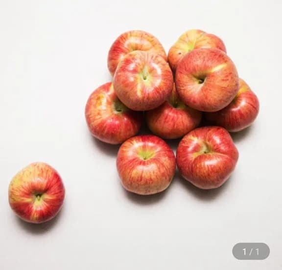 홍로햇사과 가정용 2kg (9,690원/무료)