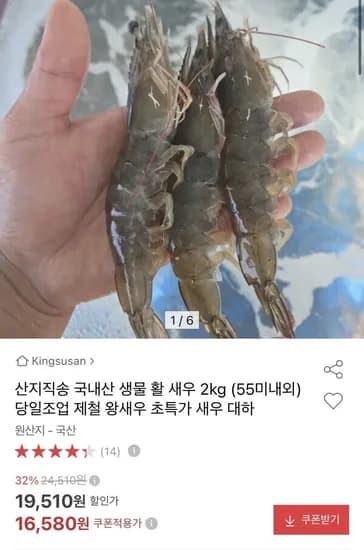 산지직송 국내산 생물 활 새우 2kg (55미내외) 당일조업